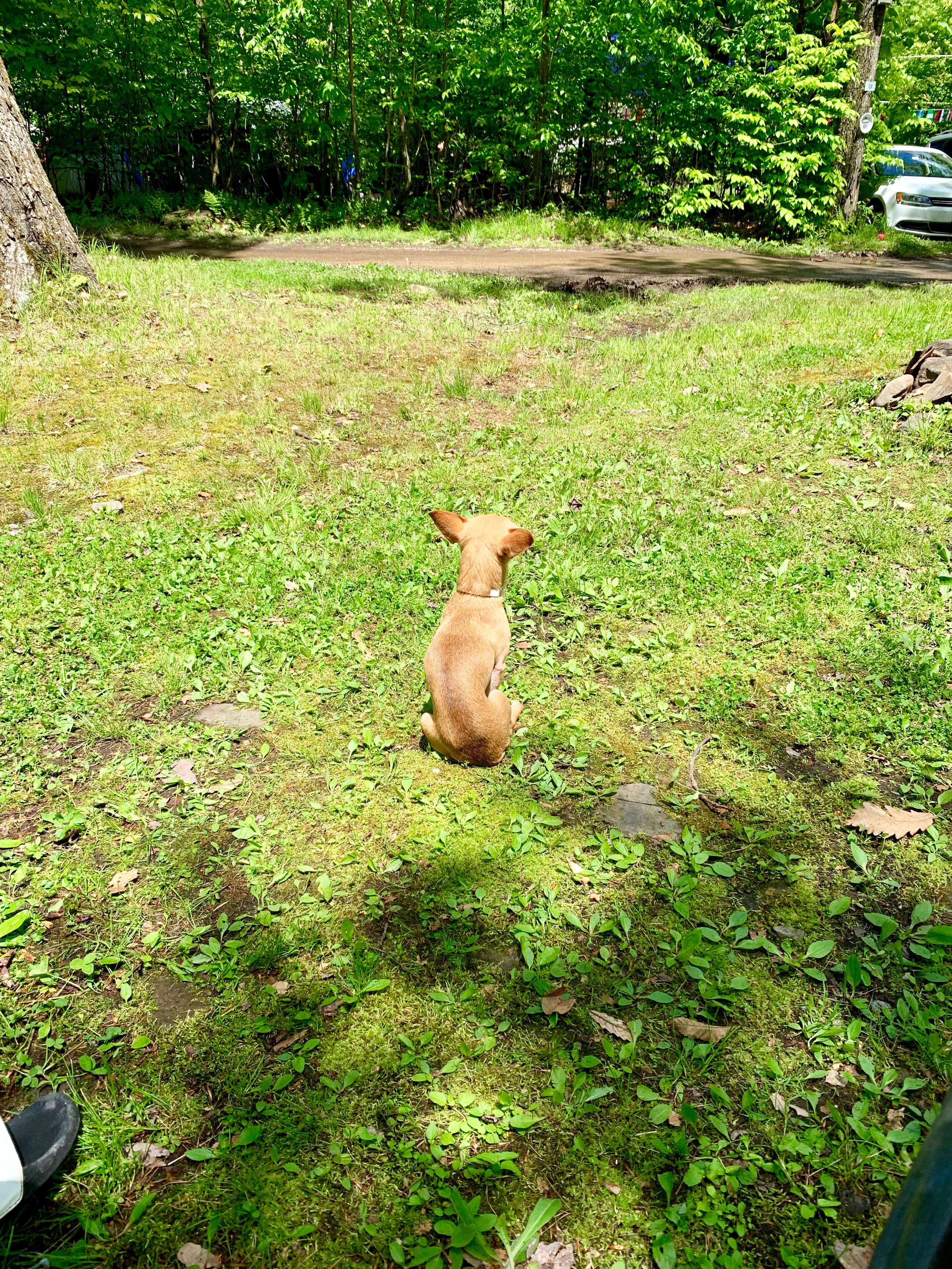 Camper-submitted photo at Oneida Campground & Lodge near Union Dale, PA