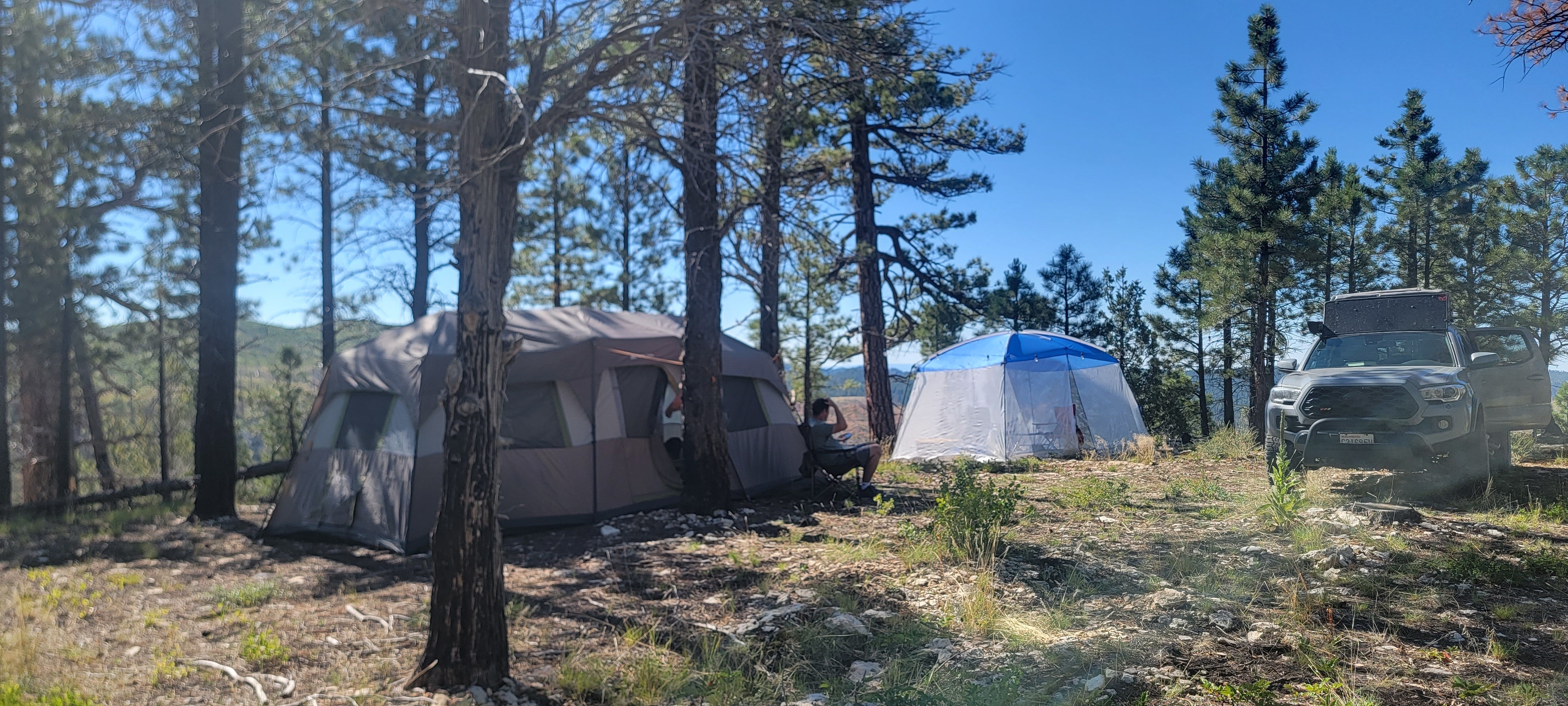 Camper submitted image from Harris Rim & Stout Canyon Dispersed - 4