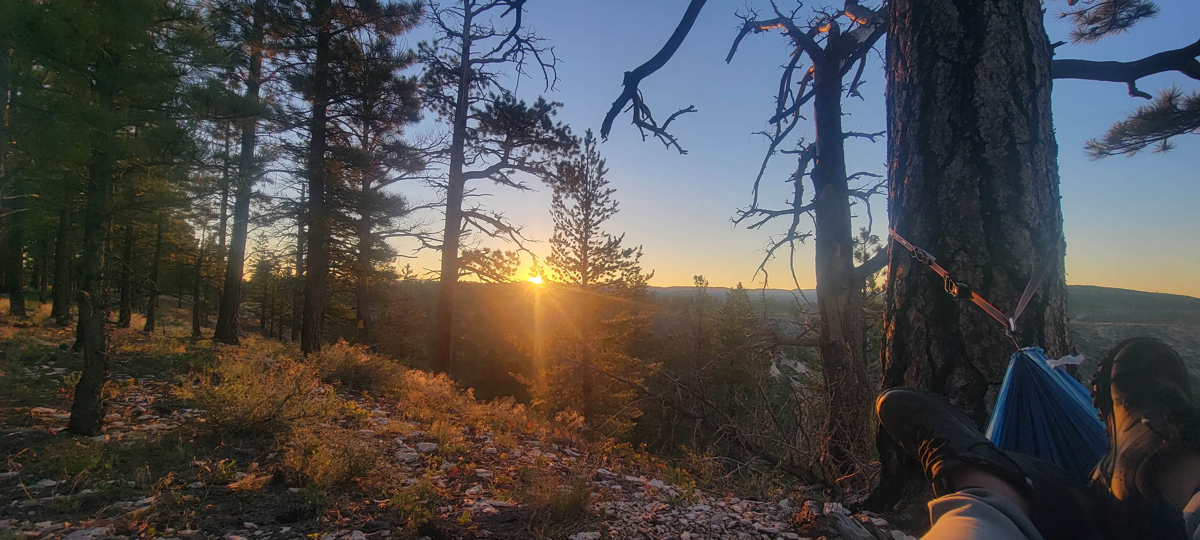 Camper submitted image from Harris Rim & Stout Canyon Dispersed - 5
