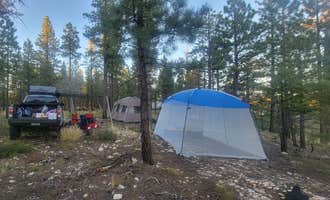 Camping near Strawberry Ridge: Harris Rim & Stout Canyon Dispersed, Alton, Utah