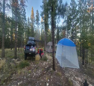 Camper-submitted photo from Harris Rim & Stout Canyon Dispersed
