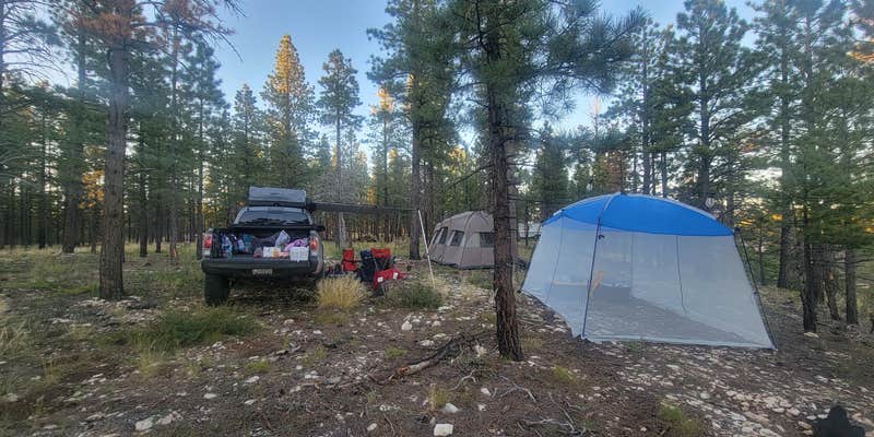 Camper submitted image from Harris Rim & Stout Canyon Dispersed