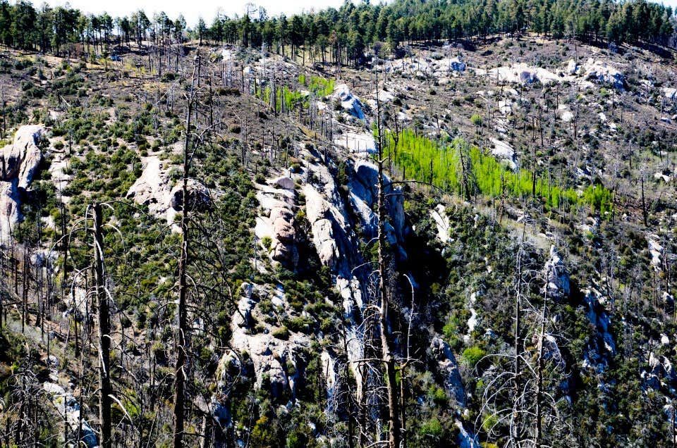 Camper-submitted photo at Spencer Canyon Campground near Saguaro National Park