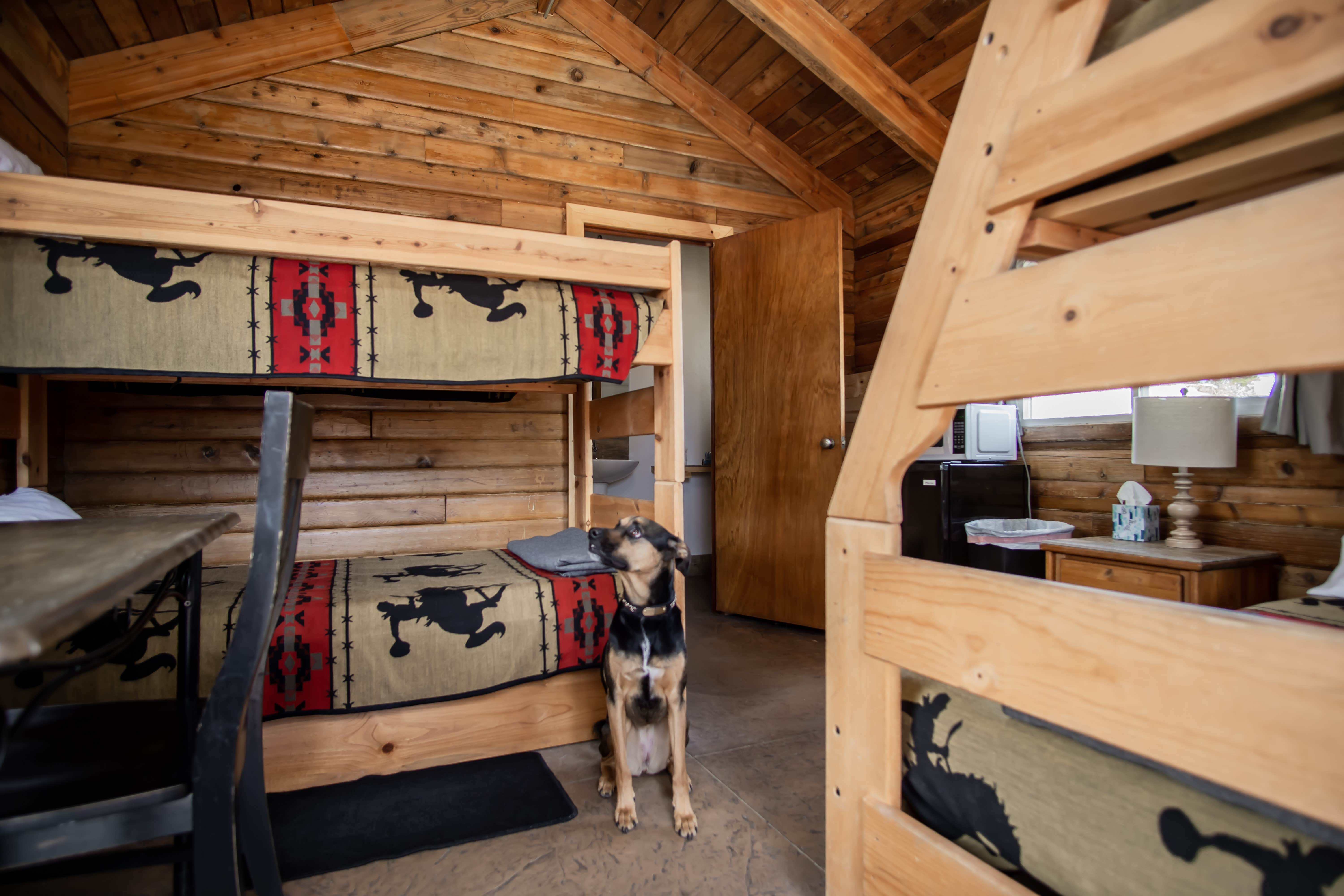 Camper-submitted photo at Escalante Cabins & R.V. Park near Glen Canyon National Recreation Area