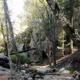 Review photo of Spencer Canyon Campground by Audrey R., October 30, 2018