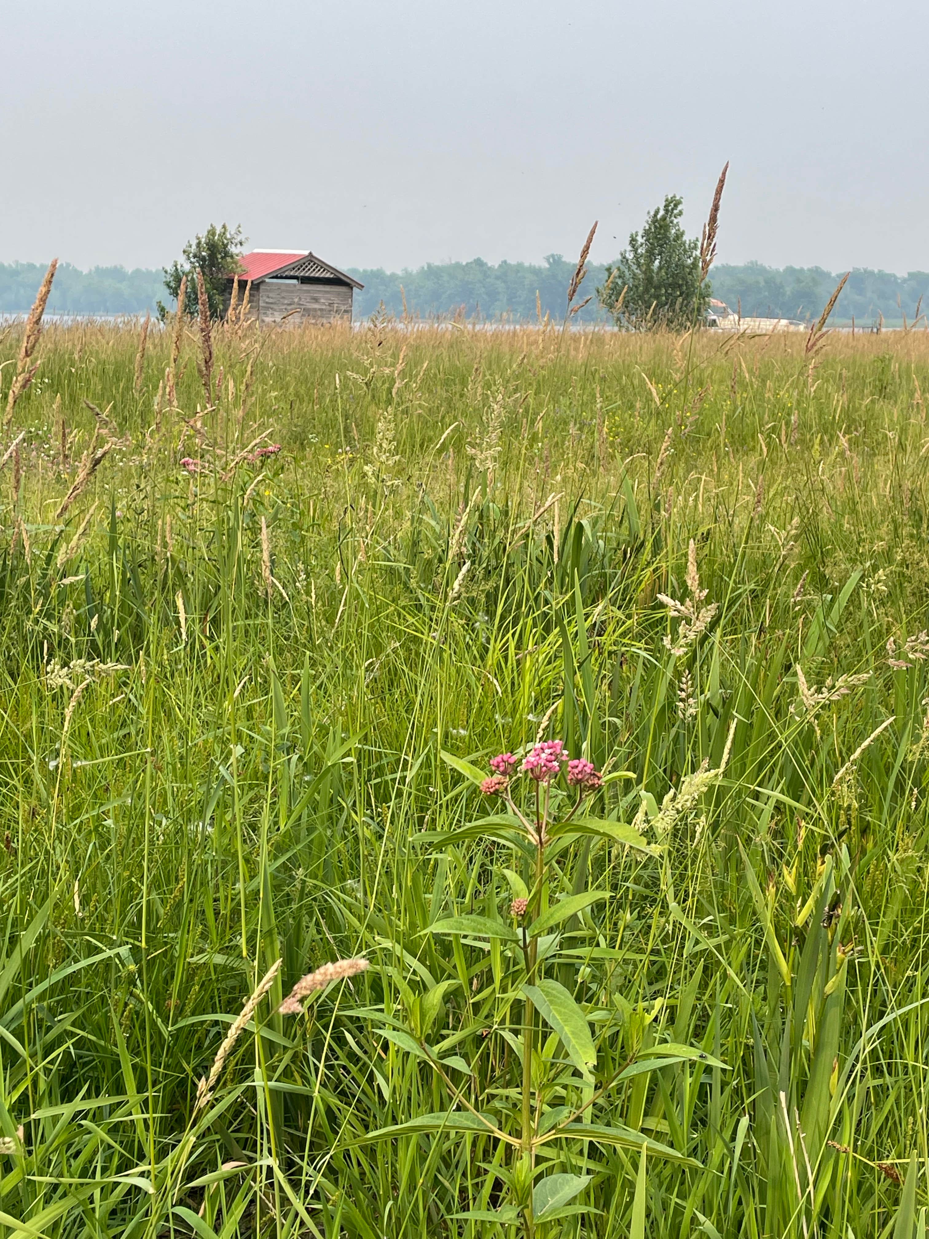 Camper-submitted photo at Campbells Bay Campground near Swanton, VT