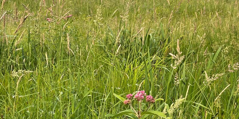 Camper submitted image from Campbells Bay Campground