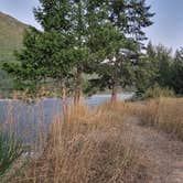 Review photo of North fork Flathead River dispersed camping by Chad R., September 1, 2023