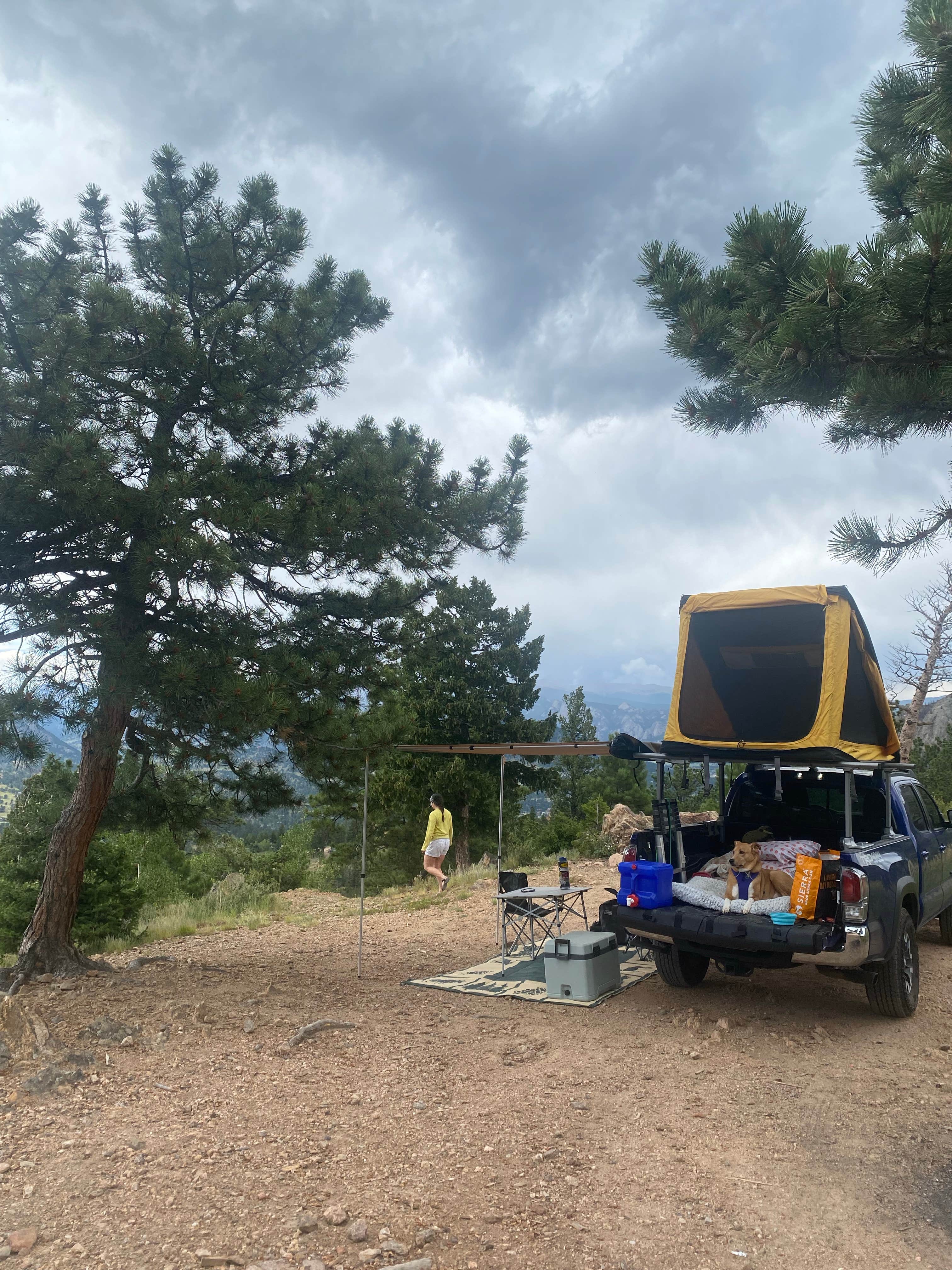 Ryan M.'s photo of tent camping at Forest Road 119 near Estes Park, CO