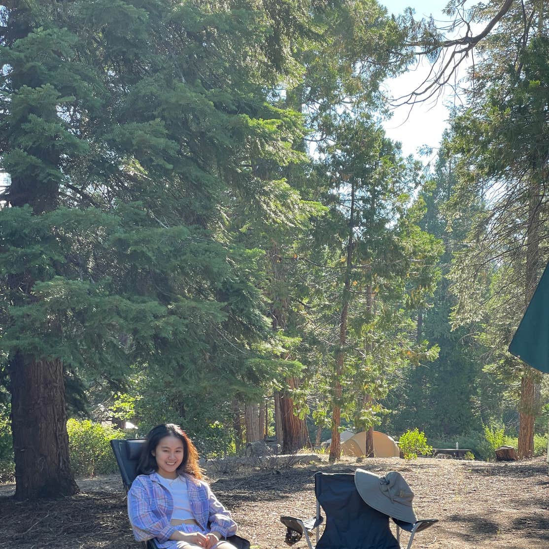 Redwood Meadow Camping | Johnsondale, CA