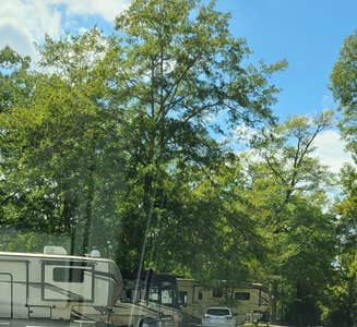 Camper-submitted photo from Auburn RV Park at Leisure Time Campground