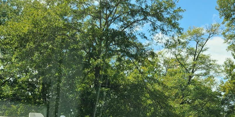 Camper submitted image from Auburn RV Park at Leisure Time Campground