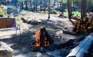 Audrey R.'s photo at Spencer Canyon Campground near Oro Valley, AZ