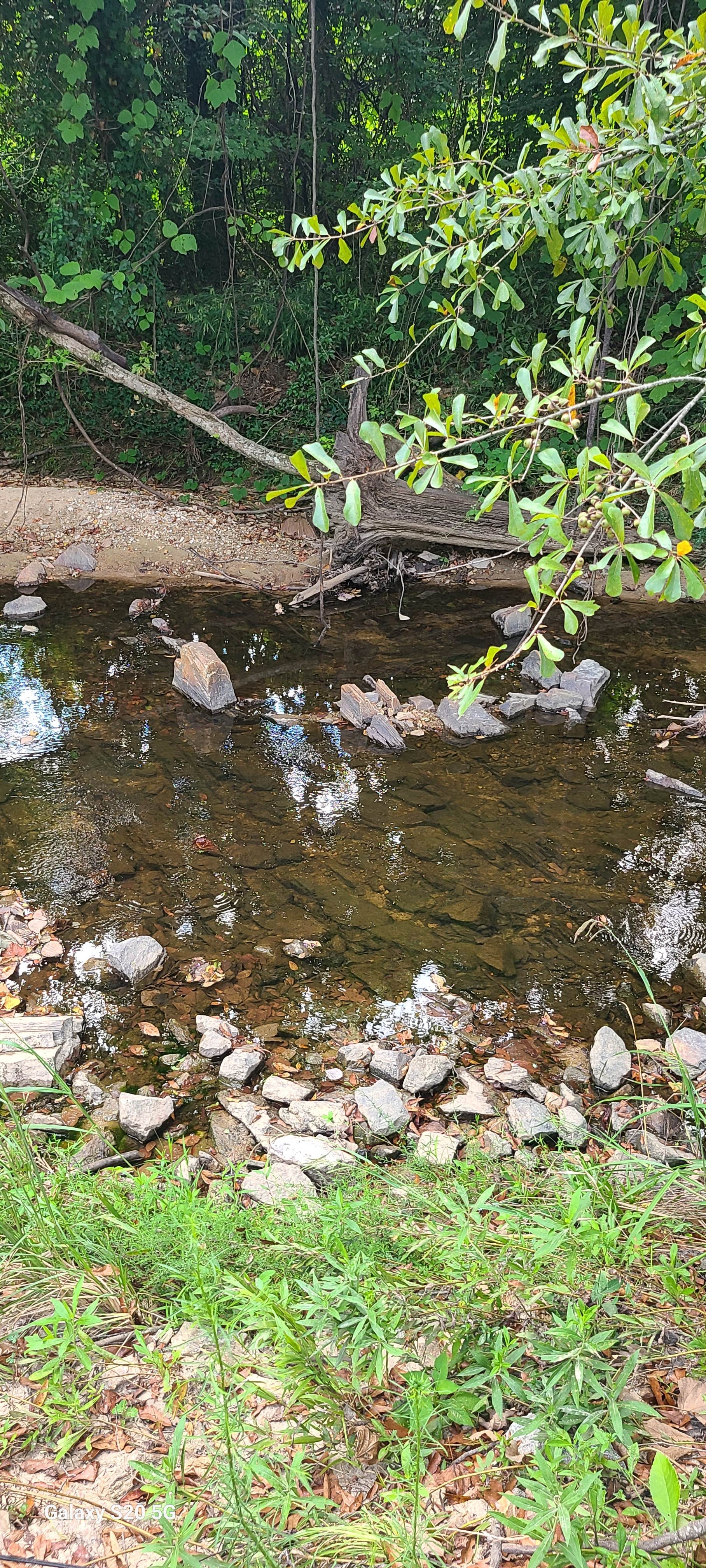 Camper-submitted photo at Auburn RV Park at Leisure Time Campground near Kent, AL