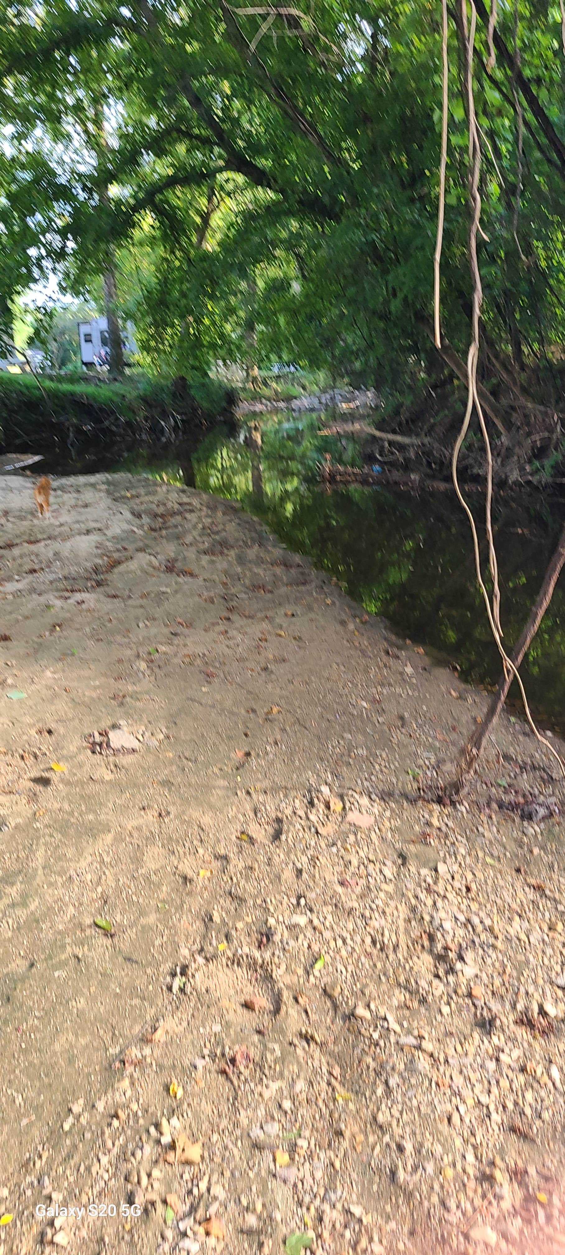 Cat R.'s photo of camping with pets at Auburn RV Park at Leisure Time Campground near Columbus, GA