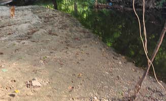 Cat R.'s photo of camping with pets at Auburn RV Park at Leisure Time Campground near West Point Lake