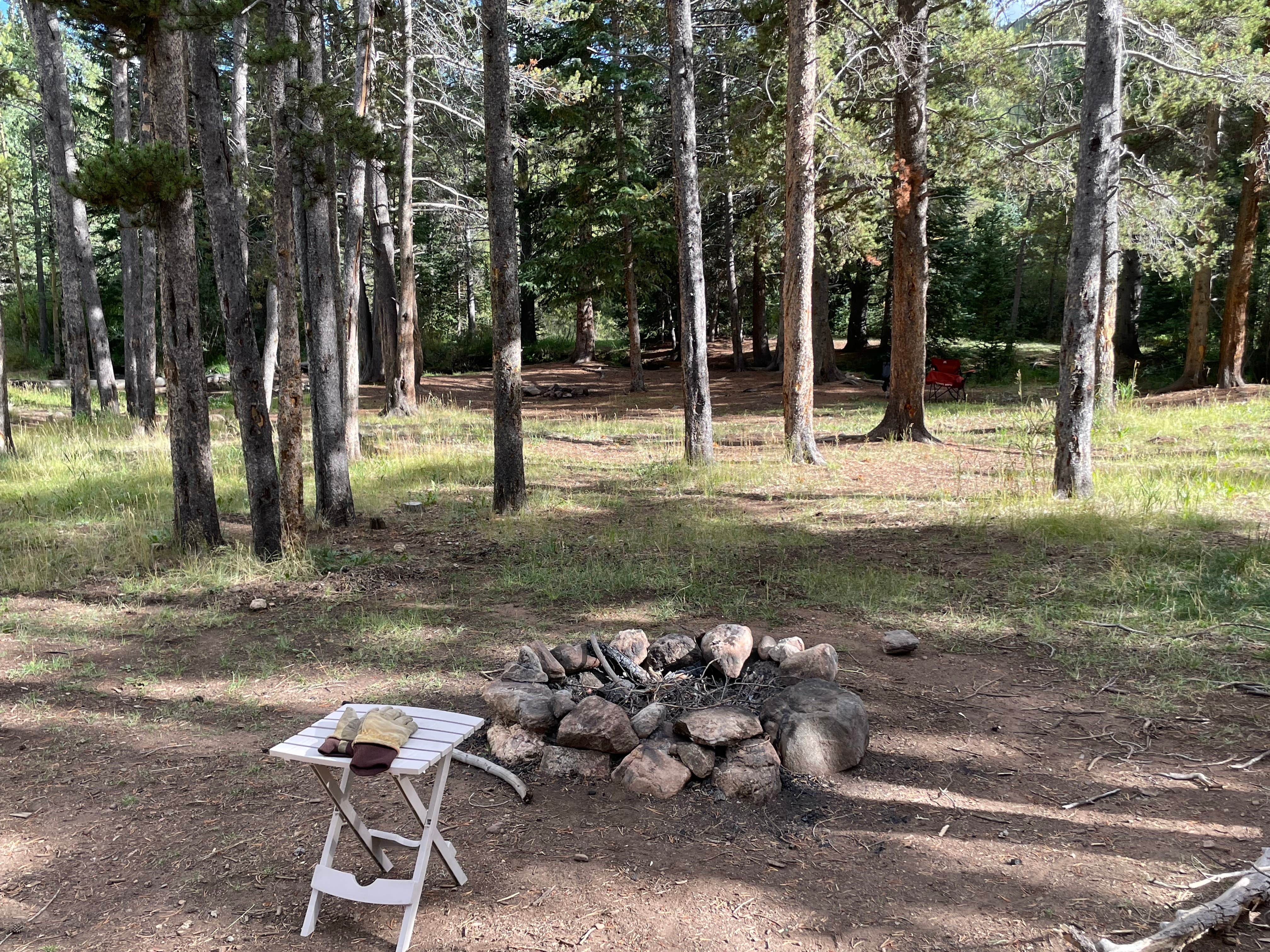 Camper submitted image from Bruno Gulch Dispersed - 4
