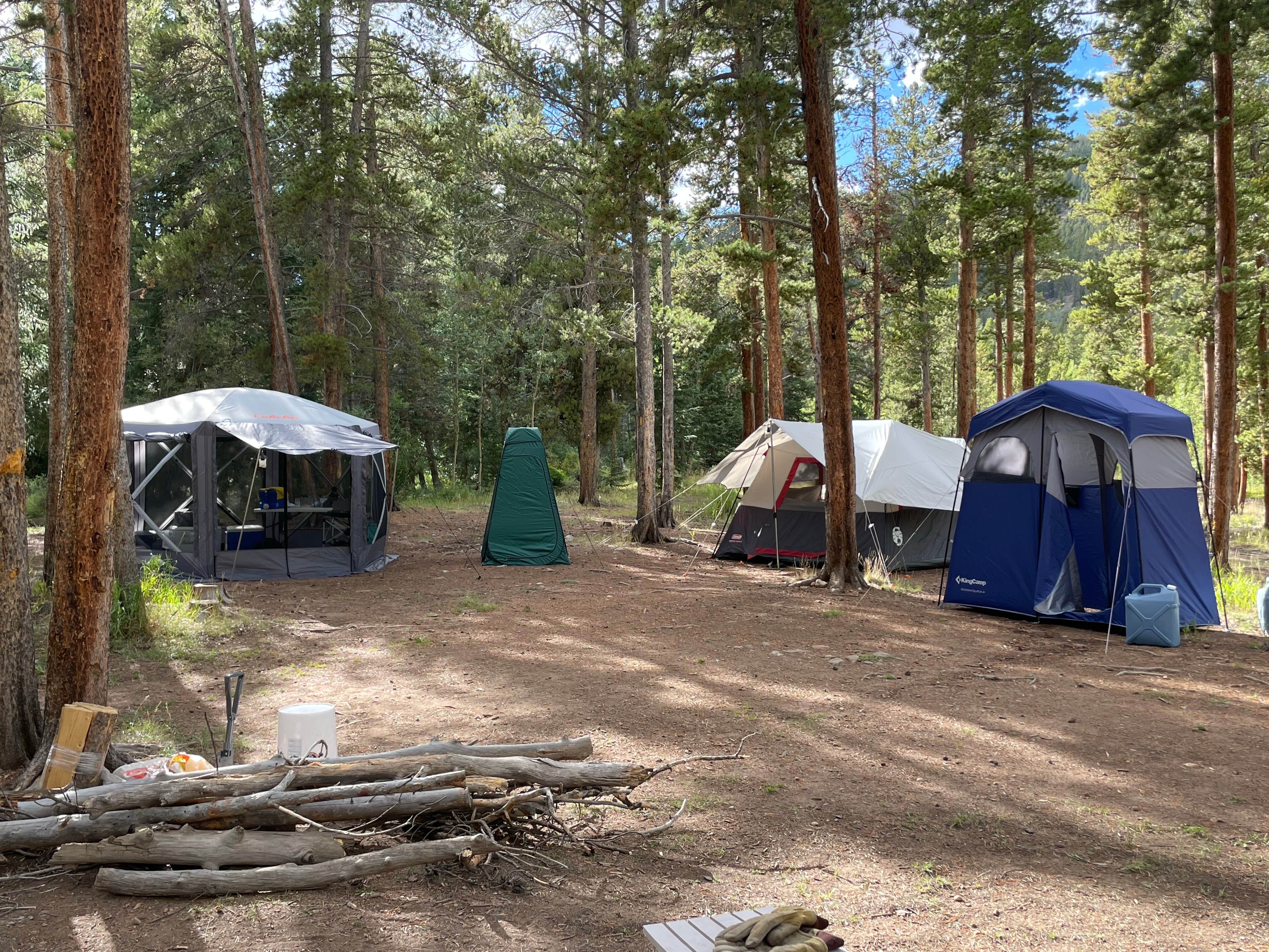 Camper-submitted photo at Bruno Gulch Dispersed near Conifer, CO
