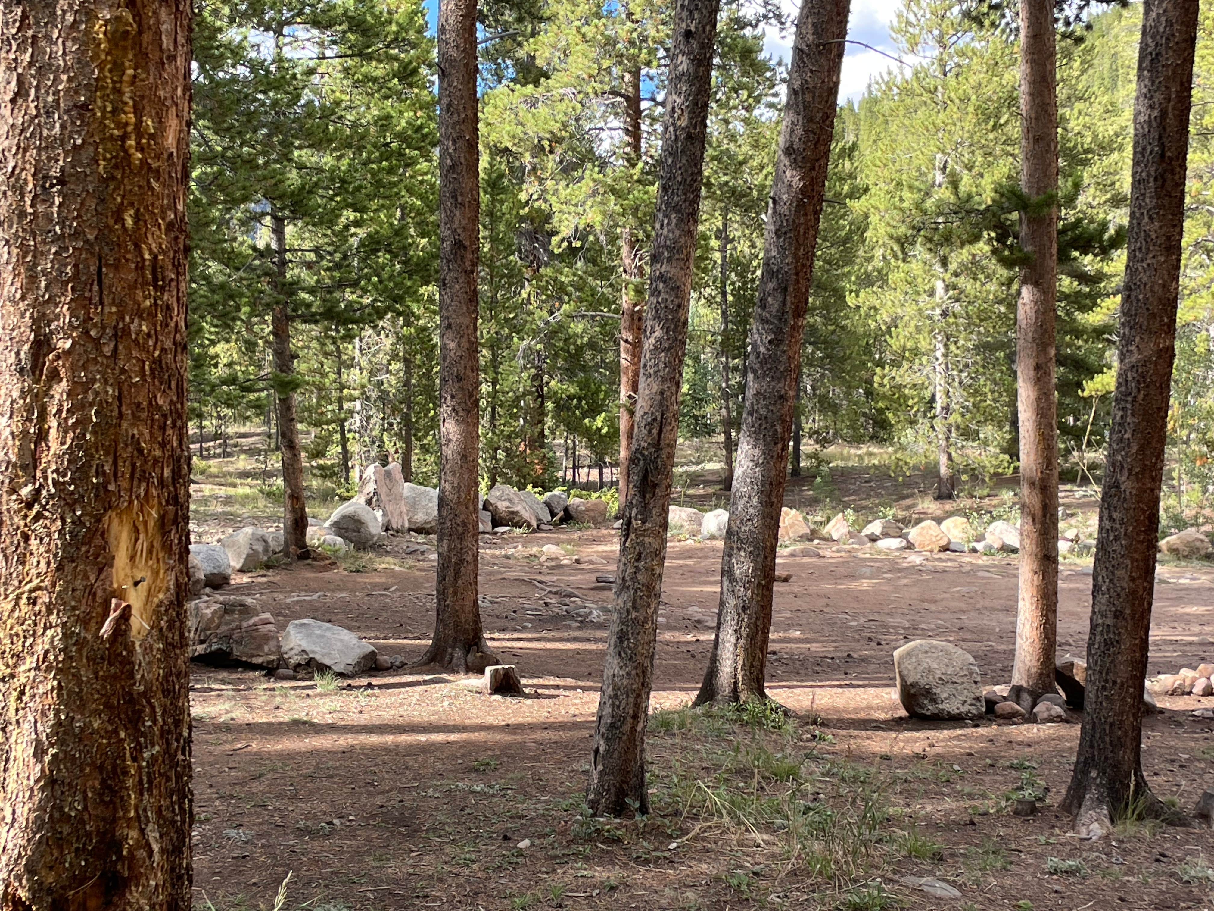 Camper-submitted photo at Bruno Gulch Dispersed near Jefferson, CO
