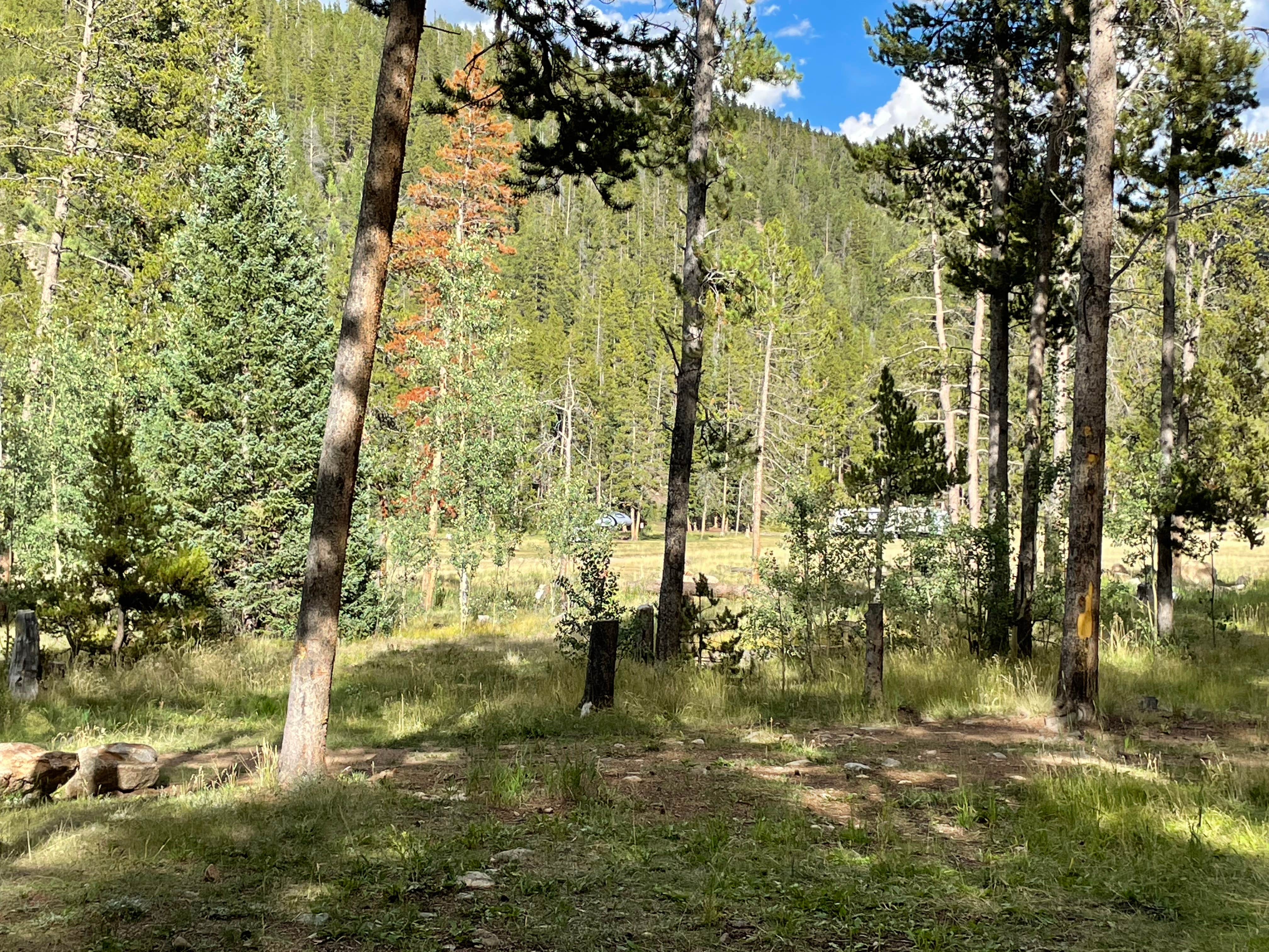 Camper-submitted photo at Bruno Gulch Dispersed near Conifer, CO