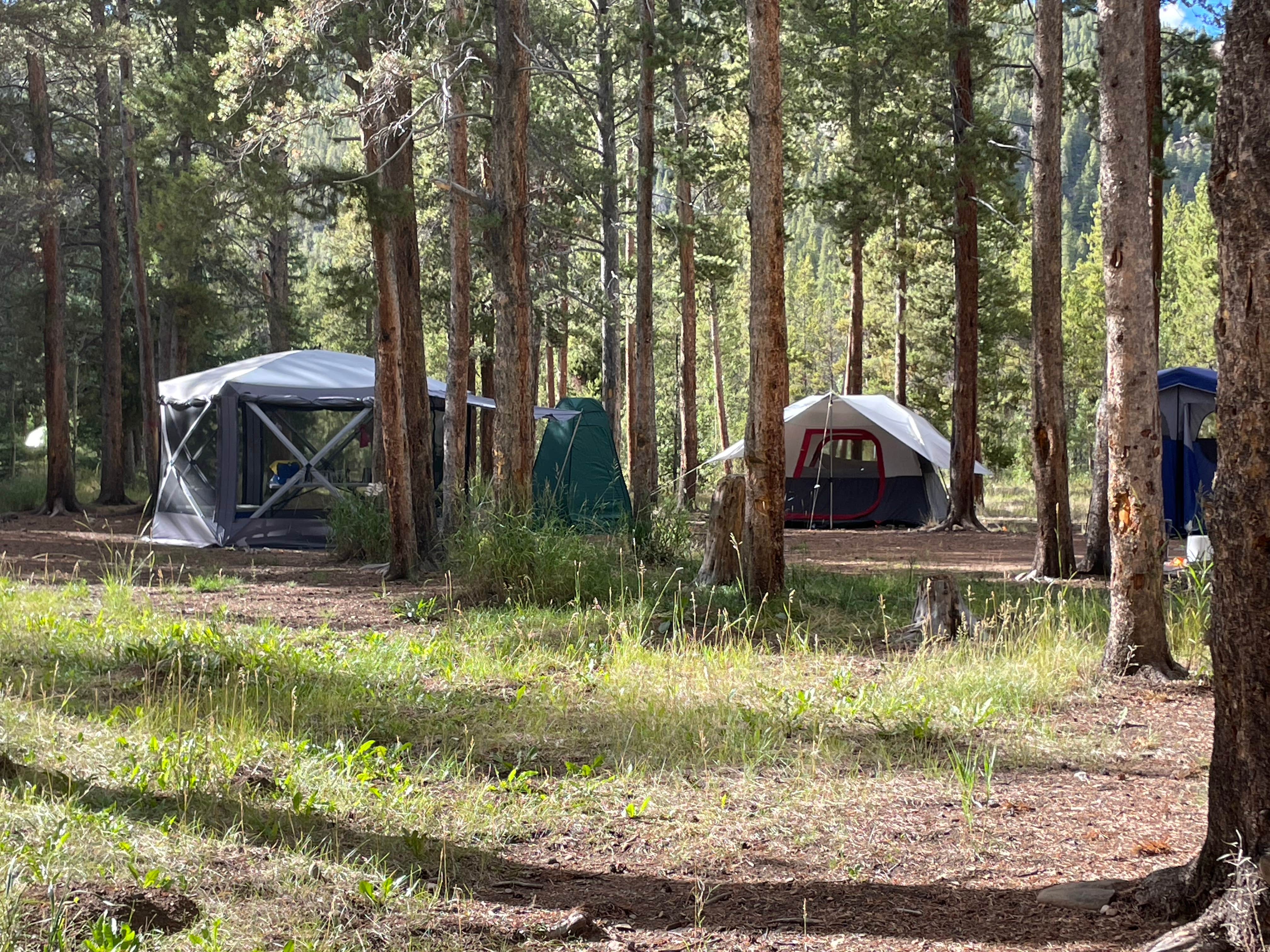 Camper-submitted photo at Bruno Gulch Dispersed near Conifer, CO