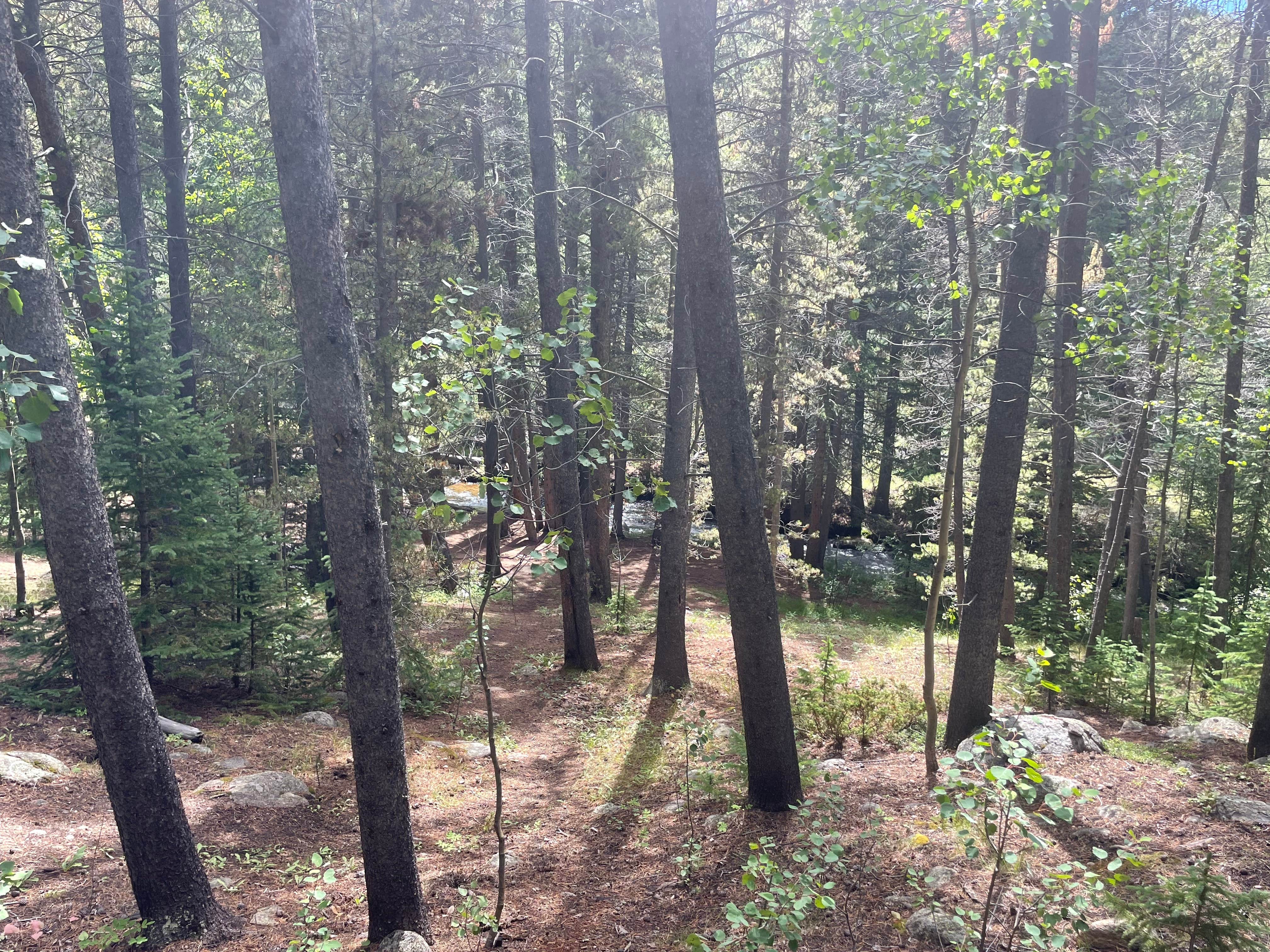 Kirby Gulch Camping Montezuma, CO