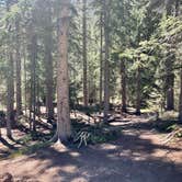 Review photo of Handcart Campground by Chris P., September 2, 2023