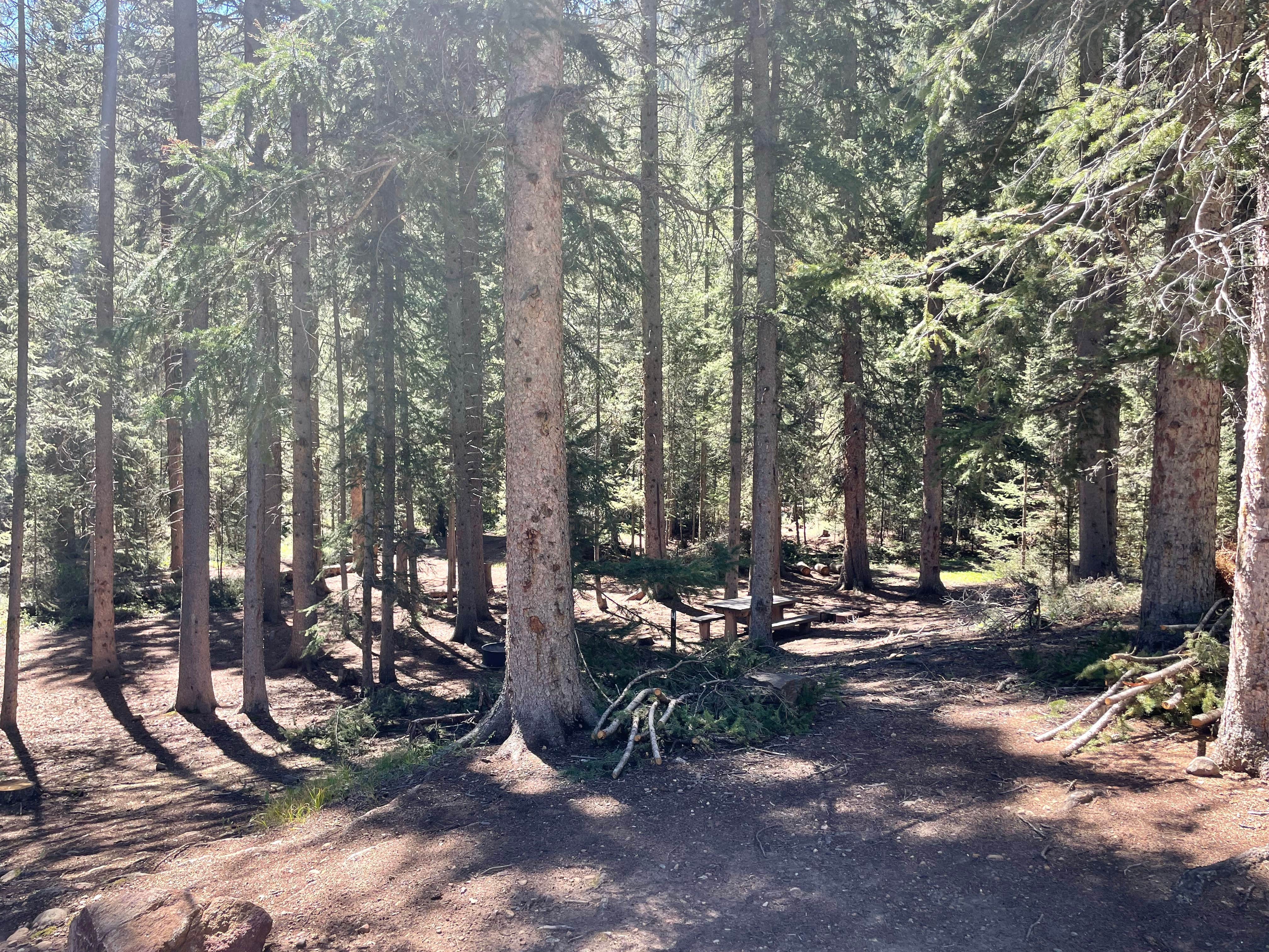 Camper submitted image from Handcart Campground - 4