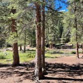 Review photo of Handcart Campground by Chris P., September 2, 2023