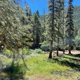 Review photo of Handcart Campground by Chris P., September 2, 2023