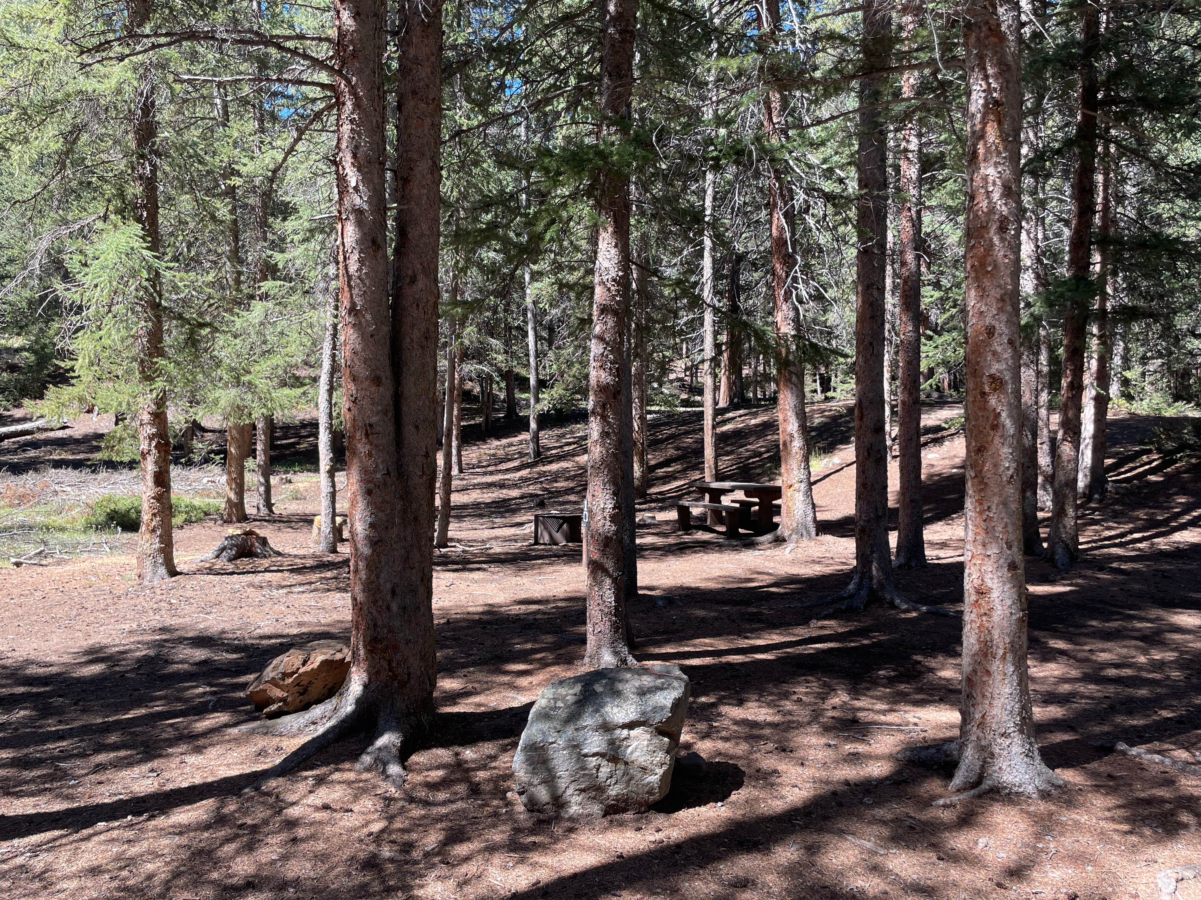 Camper-submitted photo at Handcart Campground near Jefferson, CO
