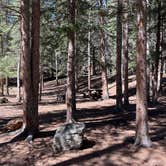 Review photo of Handcart Campground by Chris P., September 2, 2023