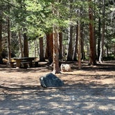 Review photo of Hall Valley Campground by Chris P., September 2, 2023