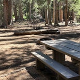 Review photo of Hall Valley Campground by Chris P., September 2, 2023