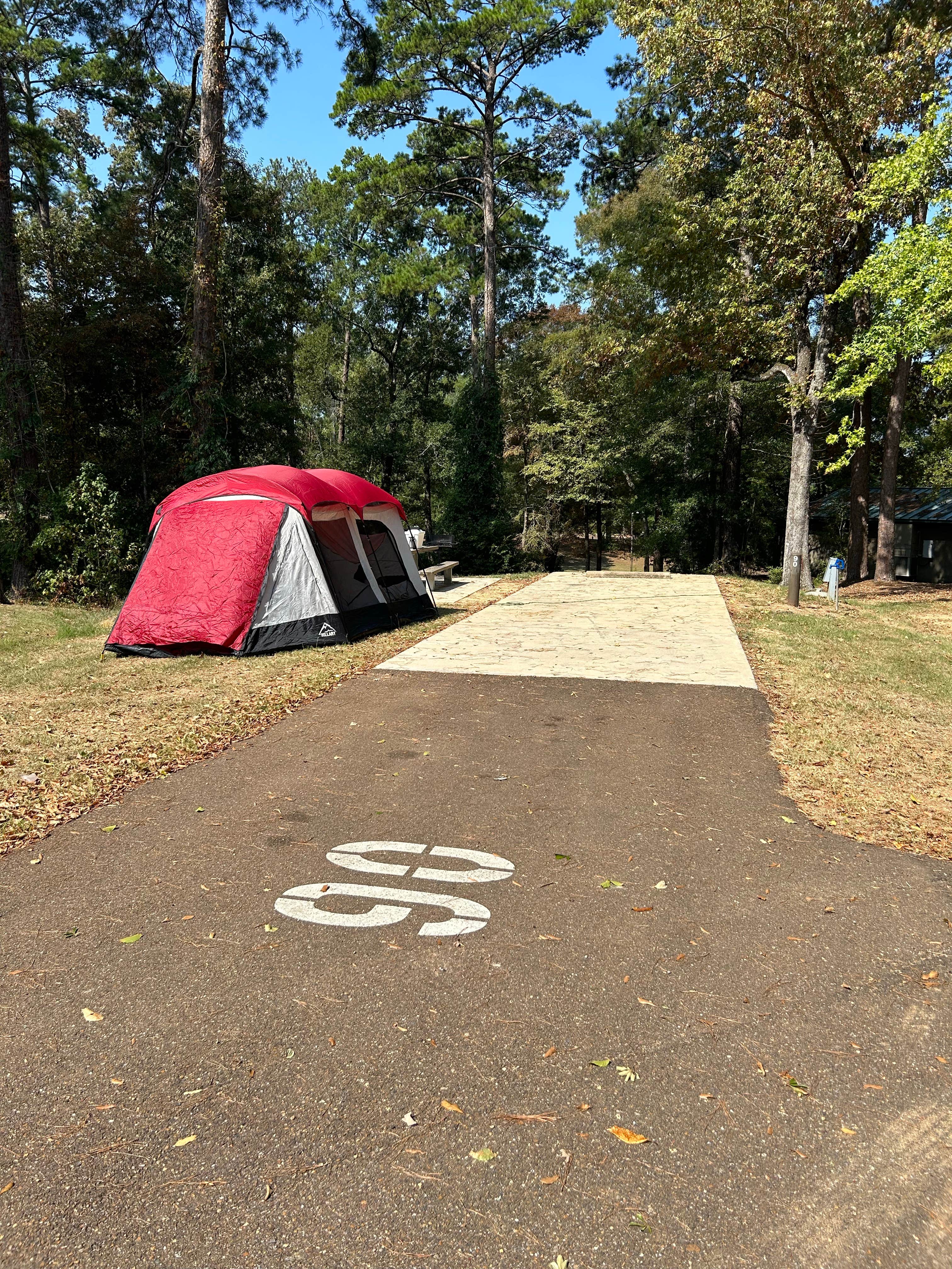 Jack B.'s photo at Percy Quin State Park Campground near Brookhaven, MS