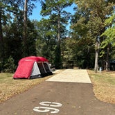 Review photo of Percy Quin State Park Campground by Jack B., August 26, 2023
