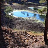 Review photo of Black Canyon Rim Campground (apache-sitgreaves National Forest, Az) by Audrey R., October 30, 2018