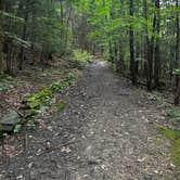 Review photo of Watkins Glen State Park Campground by Sara B., September 2, 2023