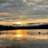 Review photo of Umbagog Lake State Park Campground by B M., September 2, 2023