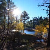 Review photo of Black Canyon Rim Campground (apache-sitgreaves National Forest, Az) by Audrey R., October 30, 2018