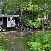 Review photo of Umbagog Lake State Park Campground by B M., September 2, 2023