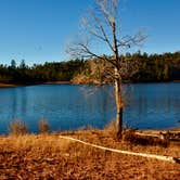 Review photo of Black Canyon Rim Campground (apache-sitgreaves National Forest, Az) by Audrey R., October 30, 2018