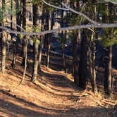 Review photo of Black Canyon Rim Campground (apache-sitgreaves National Forest, Az) by Audrey R., October 30, 2018
