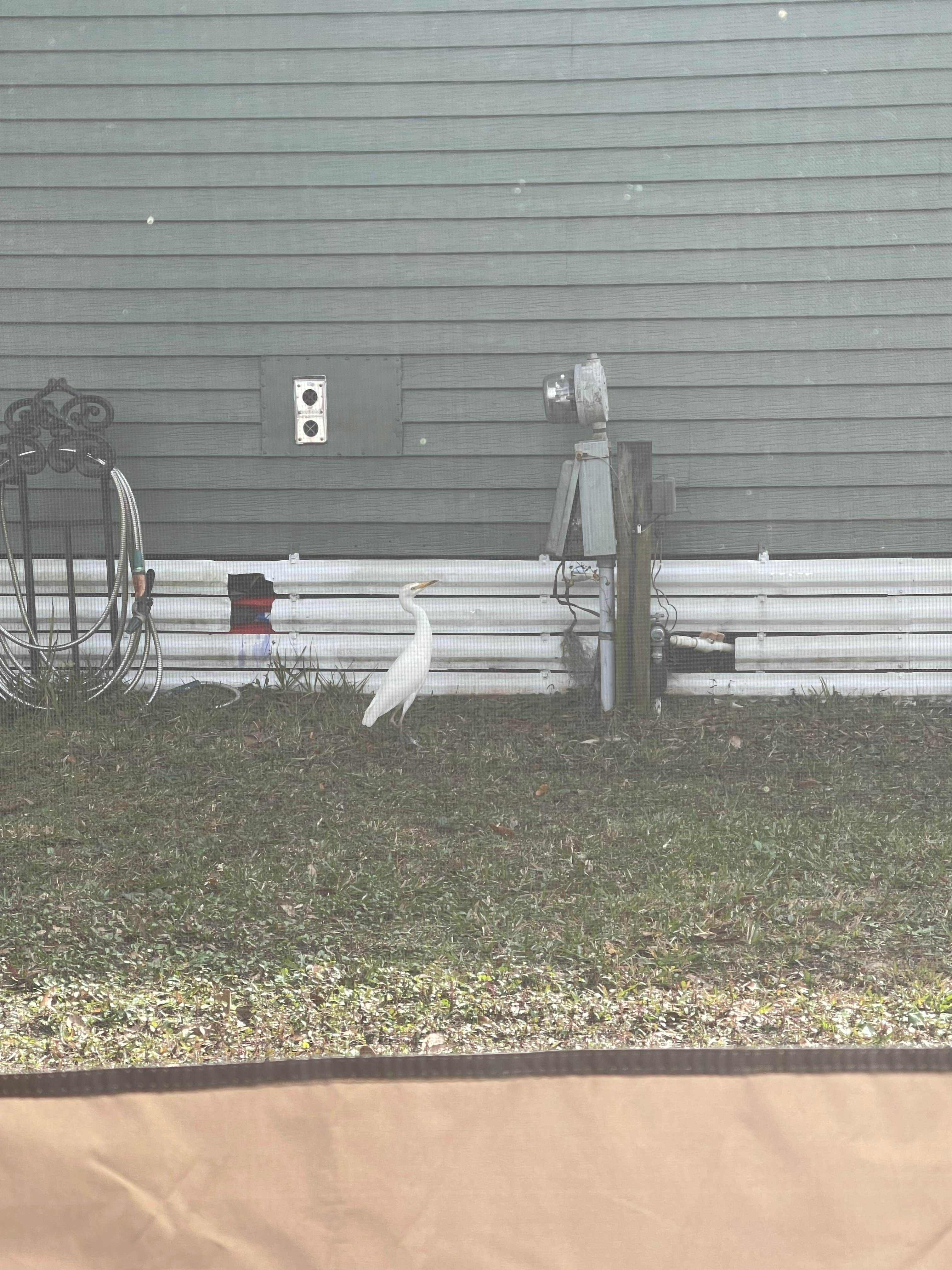 Camper-submitted photo at River Palm RV Resort near Plant City, FL