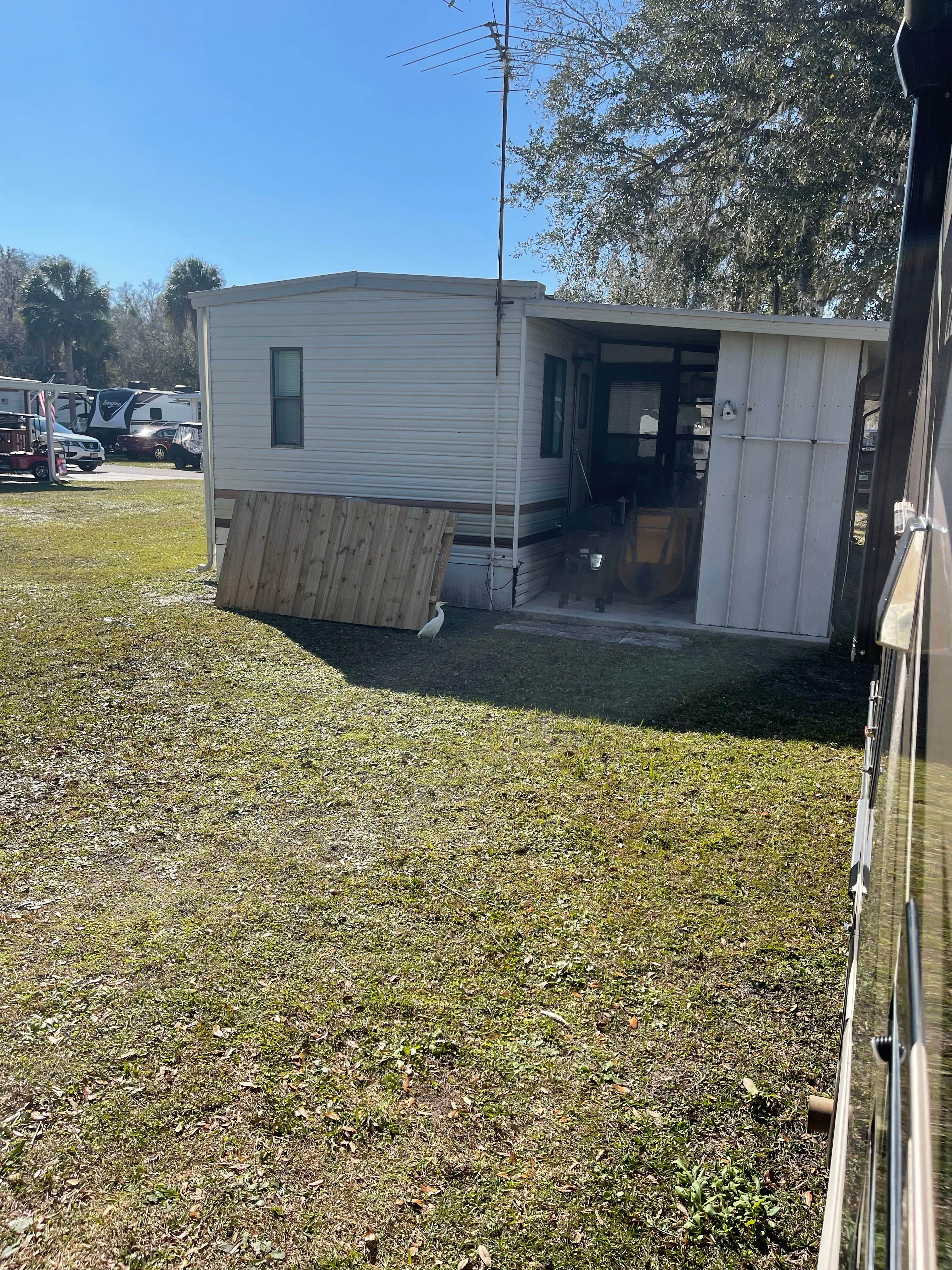 Camper-submitted photo at River Palm RV Resort near Plant City, FL