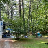 Review photo of Big Moose Inn Cabins and Campground by B M., September 2, 2023