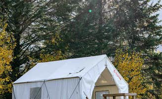 The Dyrt's photo at Tentrr Signature Site - Starry Night near Dorset, VT