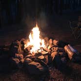 Review photo of Black Canyon Rim Campground (apache-sitgreaves National Forest, Az) by Audrey R., October 30, 2018