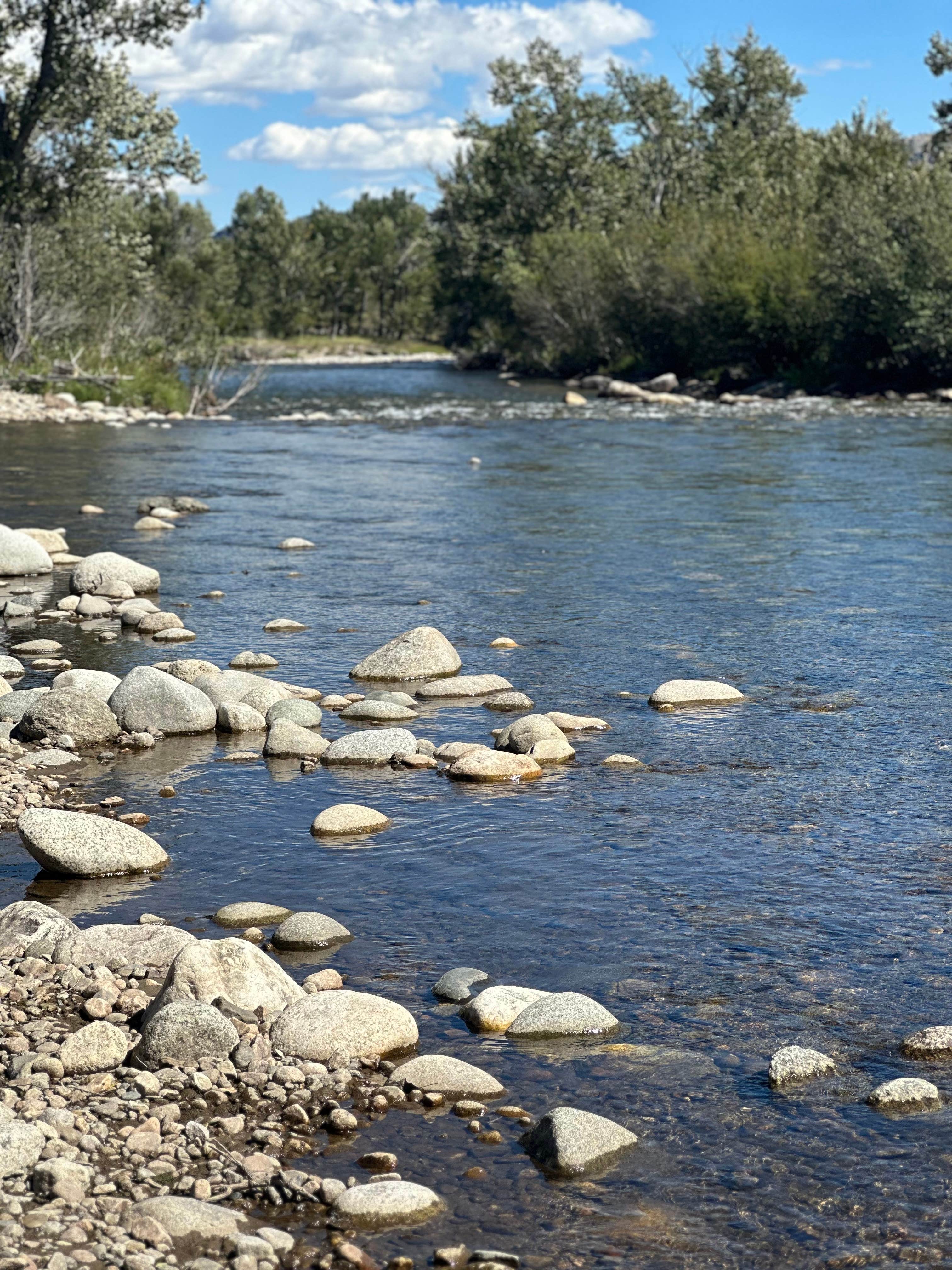 Mitchell W.'s photo of a dispersed camping area at Buffalo Jump Camp near Livingston, MT