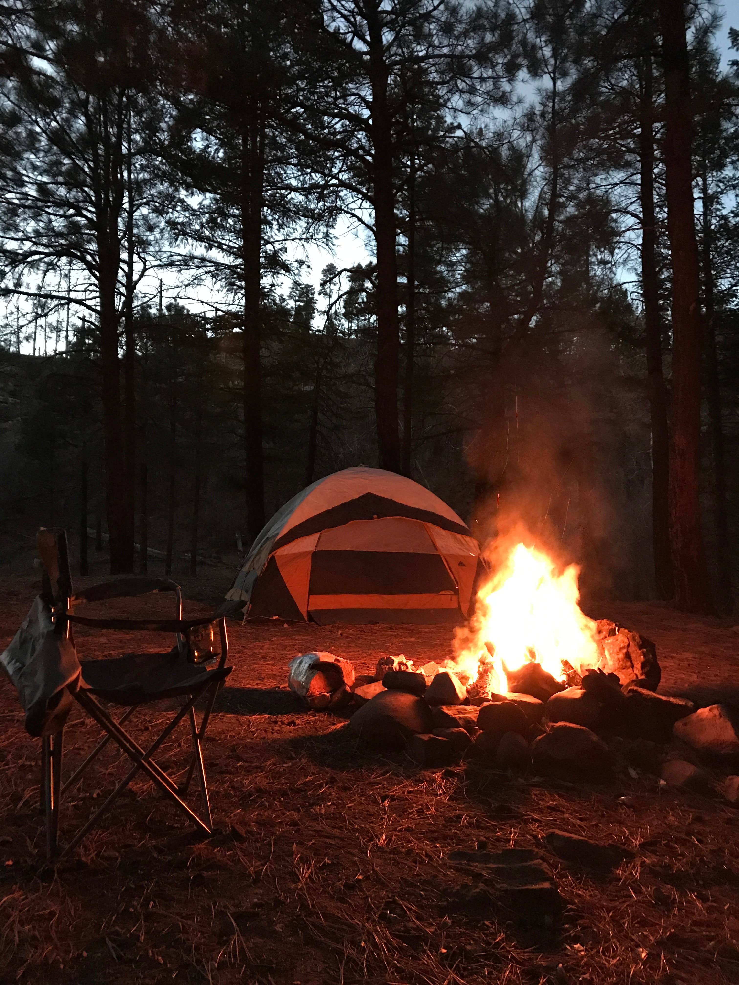 Camper submitted image from Black Canyon Rim Campground (apache-sitgreaves National Forest, Az) - 5